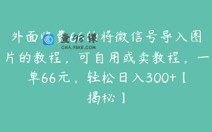 外面收费66的将微信号导入图片的教程，可自用或卖教程，一单66元，轻松日入300+【揭秘】