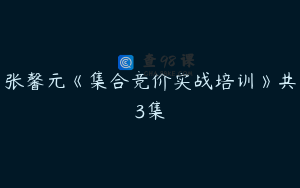 张馨元《集合竞价实战培训》共3集