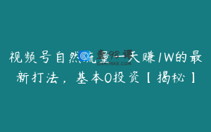 视频号自然流量一天赚1W的最新打法，基本0投资【揭秘】