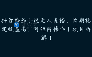抖音番茄小说无人直播，长期稳定收益高，可矩阵操作【项目拆解】