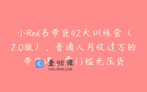 小Red书带货42天训练营(2.0版),普通人月收过万的带货课,零门槛无压货