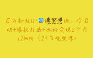 百万粉丝UP主独家秘诀：冷启动+爆款打造+涨粉变现2个月12W粉（21节视频课)