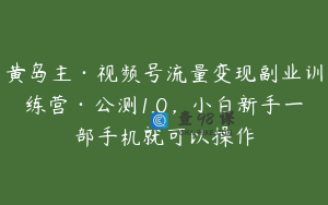 黄岛主·视频号流量变现副业训练营·公测1.0，小白新手一部手机就可以操作