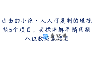 进击的小徐·人人可复制的短视频5个项目，实操讲解年销售额八位数级别项目