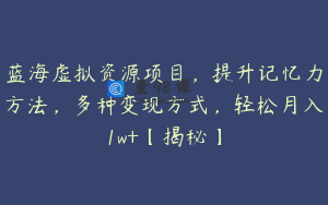 蓝海虚拟资源项目，提升记忆力方法，多种变现方式，轻松月入1w+【揭秘】