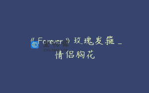 《Forever》玫瑰发箍_情侣胸花