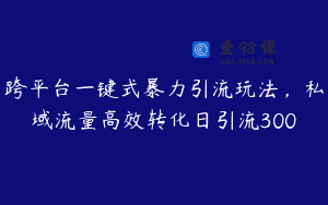 跨平台一键式暴力引流玩法，私域流量高效转化日引流300