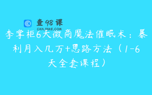 李掌柜6天微商魔法催眠术：暴利月入几万+思路方法（1-6天全套课程）