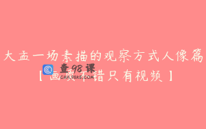 大孟一场素描的观察方式人像篇【画质不错只有视频】