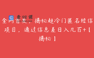 全网首发，揭秘超冷门匿名短信项目，通过信息差日入几百+【揭秘】