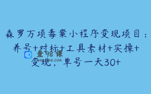 森罗万项毒案小程序变现项目：养号+对标+工具素材+实操+变现，单号一天30+