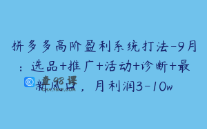 拼多多高阶盈利系统打法-9月：选品+推广+活动+诊断+最新风口，月利润3-10w
