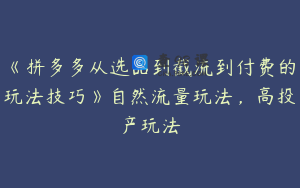 《拼多多从选品到截流到付费的玩法技巧》自然流量玩法，高投产玩法