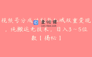 视频号分成计划与私域双重变现，纯搬运无技术，日入3~5位数【揭秘】