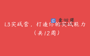 L3实战营，打造你的实战能力（共12周）