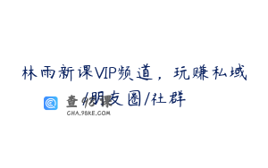 林雨新课VIP频道,玩赚私域/朋友圈/社群