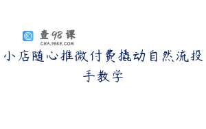 小店随心推微付费撬动自然流投手教学