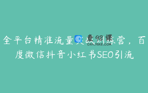 全平台精准流量实战训练营，百度微信抖音小红书SEO引流