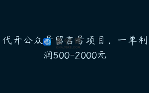 代开公众号留言号项目，一单利润500-2000元