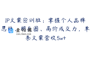 IP文案密训班：掌握个人品牌思维、朋友圈、高价成交力，单条文案营收5w+