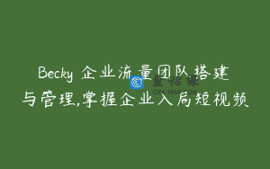 Becky・企业流量团队搭建与管理,掌握企业入局短视频