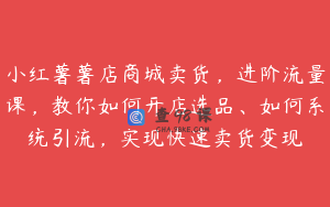 小红薯薯店商城卖货，进阶流量课，教你如何开店选品、如何系统引流，实现快速卖货变现