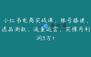 小红书电商实战课，账号搭建，选品测款，流量运营，实操月利润3万+