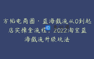 方韬电商圈·蓝海截流从0到起店实操全流程，2022淘宝蓝海截流升级玩法