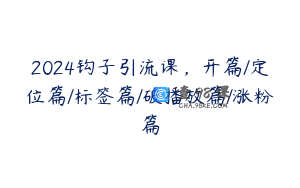 2024钩子引流课，开篇/定位篇/标签篇/破播放篇/涨粉篇