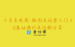《京东电商-轻创业运营入门》0基础通识及经验分享