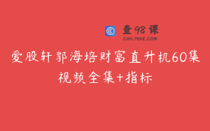 爱股轩郭海培财富直升机60集视频全集+指标