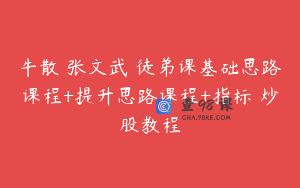 牛散 张文武 徒弟课基础思路课程+提升思路课程+指标 炒股教程