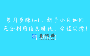 每月多赚1w+，新手小白如何充分利用信息赚钱，全程实操！【揭秘】