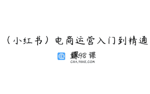(小红书)电商运营入门到精通课