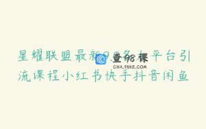 星耀联盟最新9.0各大平台引流课程小红书快手抖音闲鱼