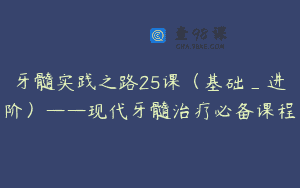 牙髓实践之路25课（基础_进阶）——现代牙髓治疗必备课程
