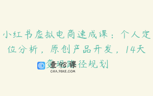 小红书虚拟电商速成课：个人定位分析，原创产品开发，14天变现路径规划