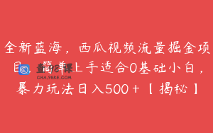 全新蓝海,西瓜视频流量掘金项目,简单上手适合0基础小白,暴力玩法日入500+【揭秘】