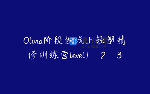 Olivia阶段性线上轻塑精修训练营level1_2_3