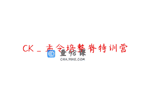 CK_孟令培整脊特训营