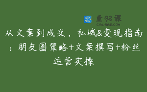 从文案到成交，私域&变现指南：朋友圈策略+文案撰写+粉丝运营实操
