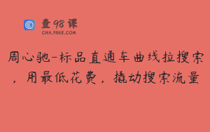 周心驰-标品直通车曲线拉搜索,用最低花费,撬动搜索流量