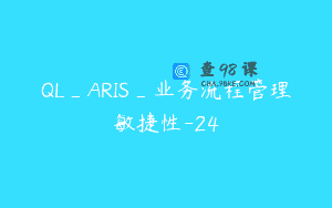 QL_ARIS_业务流程管理敏捷性-24