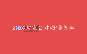 2024初级会计VIP通关班