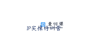 IP实操特训营
