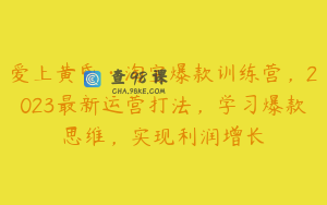 爱上黄昏·淘宝爆款训练营，2023最新运营打法，学习爆款思维，实现利润增长
