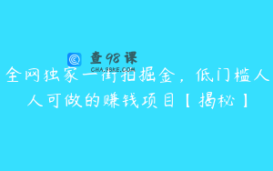 全网独家一街拍掘金，低门槛人人可做的赚钱项目【揭秘】