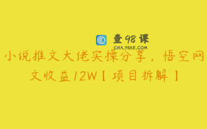 小说推文大佬实操分享，悟空网文收益12W【项目拆解】
