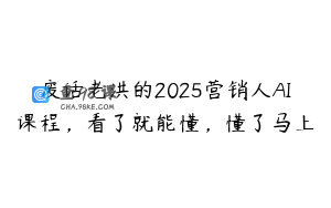 废话老洪的2025营销人AI课程，看了就能懂，懂了马上