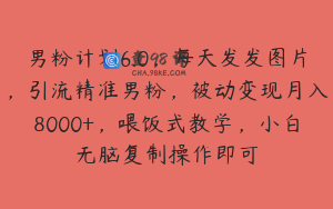 男粉计划6.0，每天发发图片，引流精准男粉，被动变现月入8000+，喂饭式教学，小白无脑复制操作即可